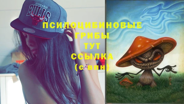 марки nbome Арсеньев